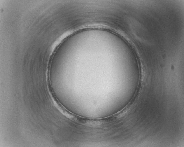 X0000051911237200507152022