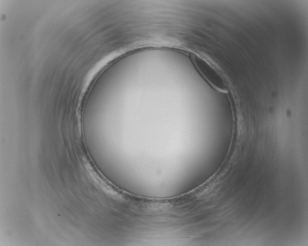 X0000051911238200507152022