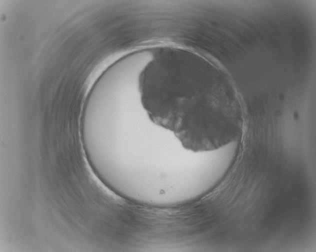 X0000051911239200507152022