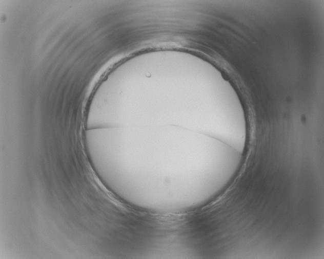 X0000051911240200507152022