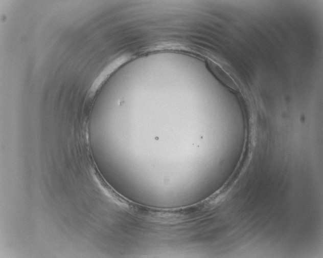 X0000051911241200507152022