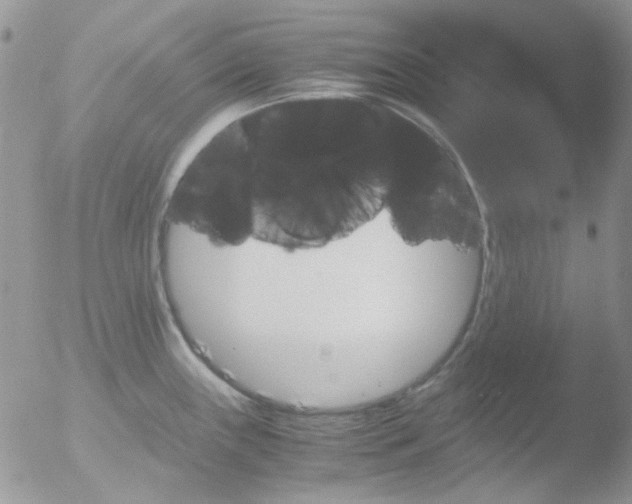 X0000051911243200507152022