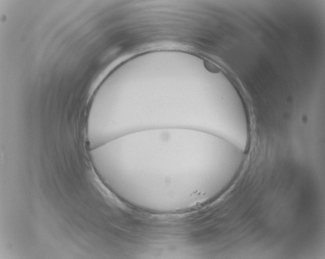 X0000051911244200507152022