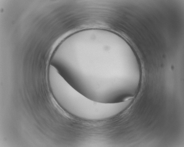 X0000051911246200507152023