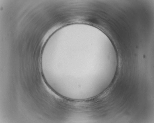 X0000051911247200507152023