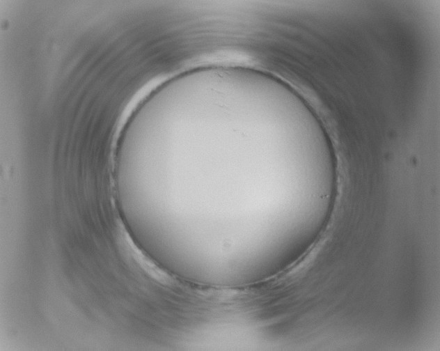 X0000051911248200507152023