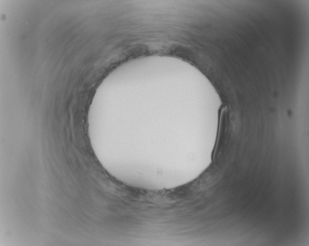 X0000051911249200507152022