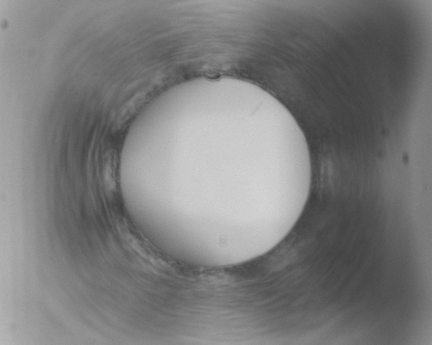 X0000051911250200507152022