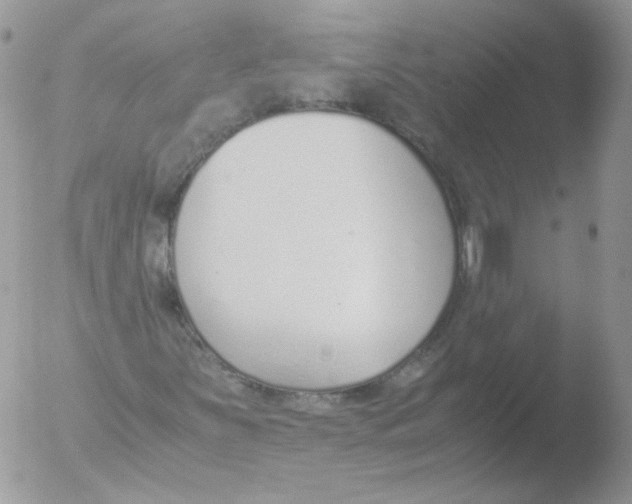 X0000051911251200507152022