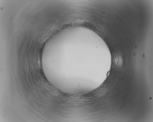 X0000051911252200507152022