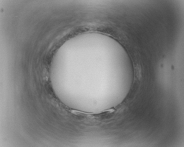 X0000051911253200507152022