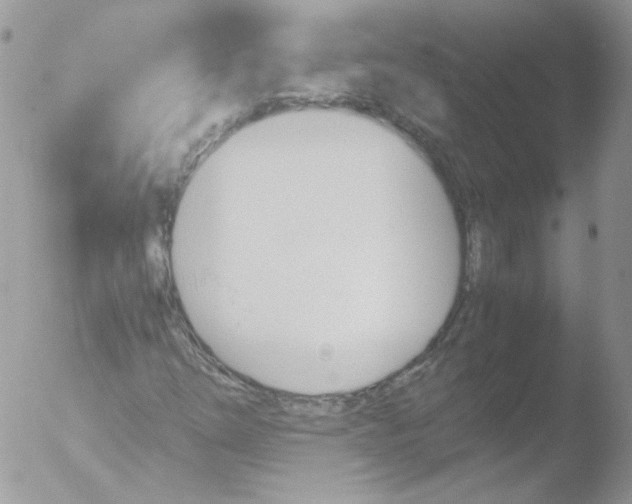 X0000051911254200507152022