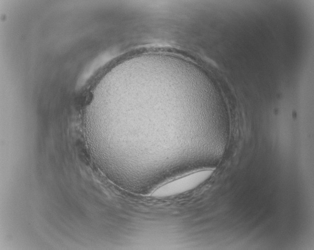 X0000051911255200507152022