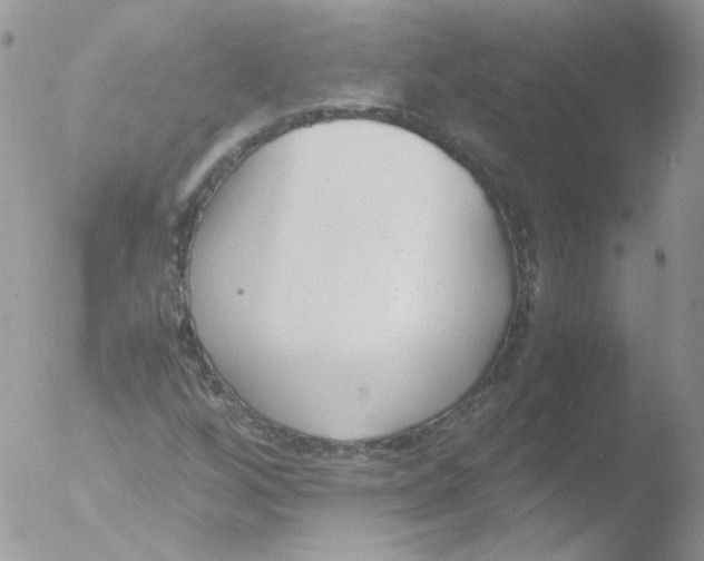 X0000051911256200507152021