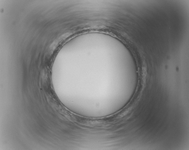 X0000051911257200507152021