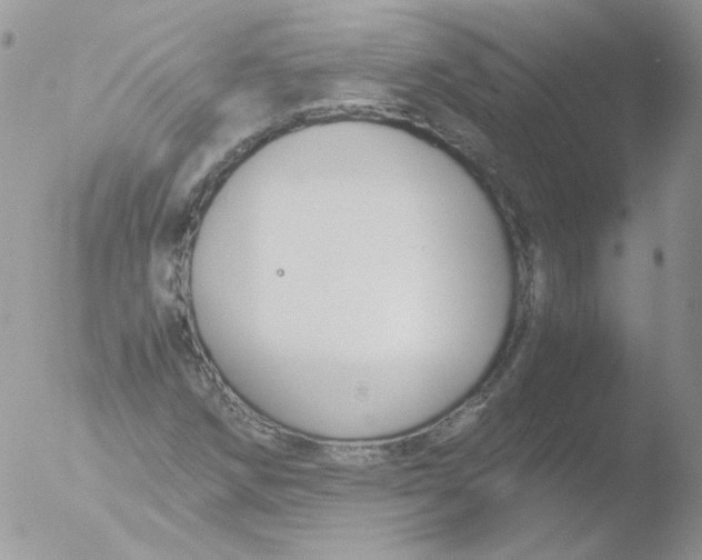 X0000051911258200507152021