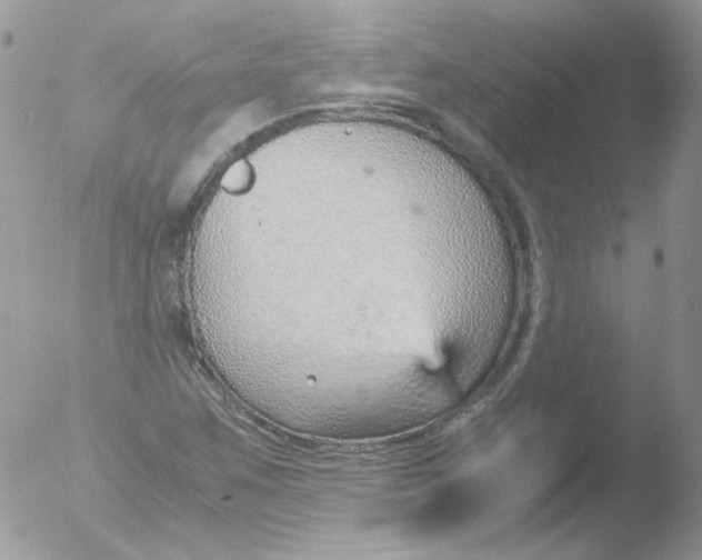 X0000051911259200507152021