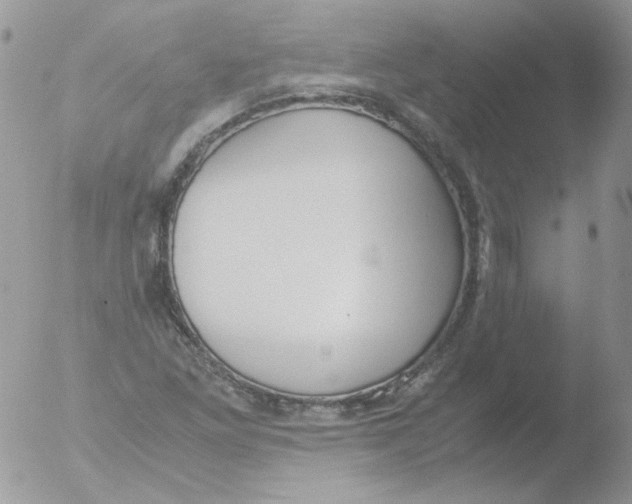 X0000051911261200507152021