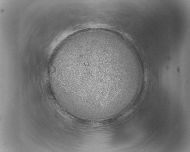 X0000051911263200507152021