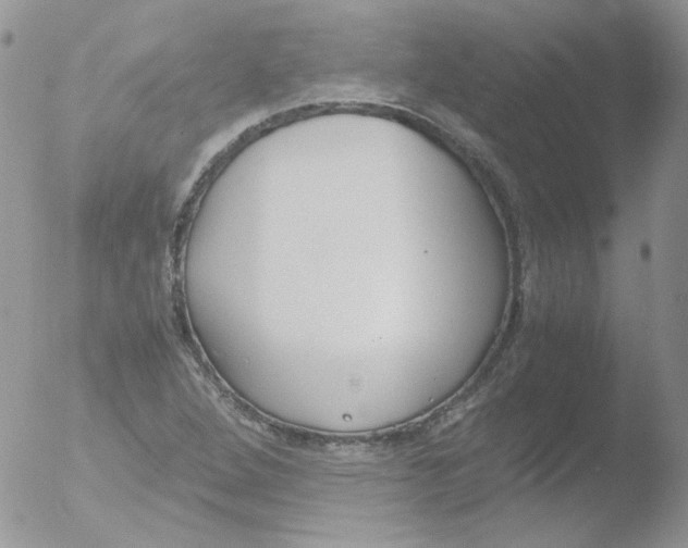 X0000051911264200507152021