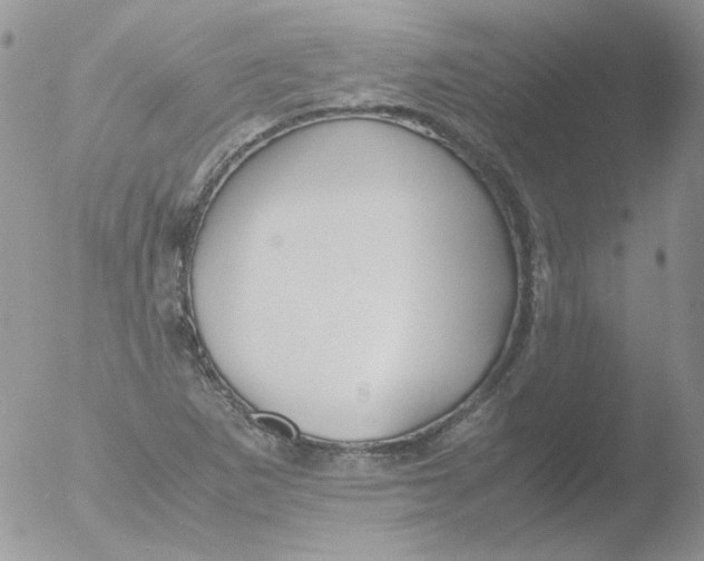 X0000051911265200507152021