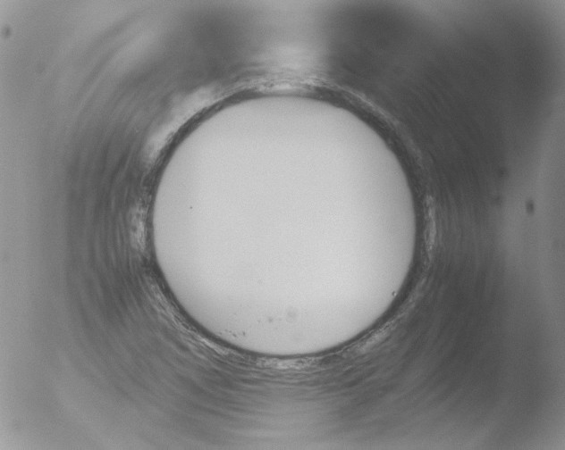 X0000051911266200507152021