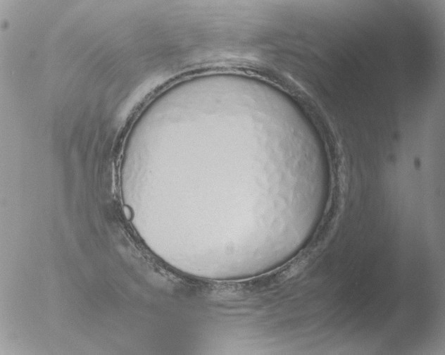 X0000051911267200507152021