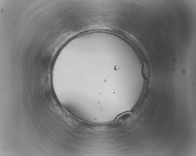 X0000051911268200507152021