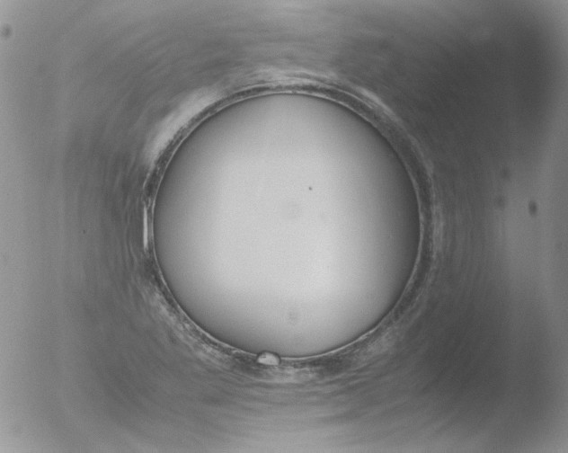 X0000051911269200507152021