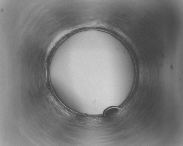 X0000051911270200507152021