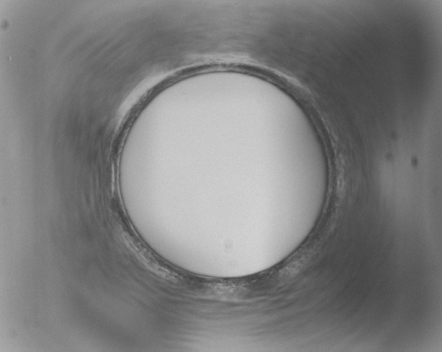 X0000051911271200507152021