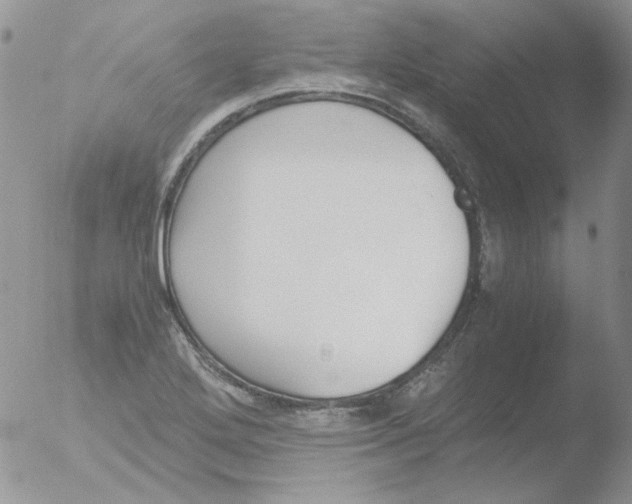 X0000051911272200507152021