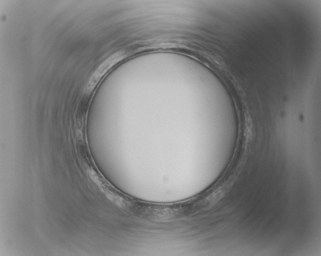 X0000051911273200507152021