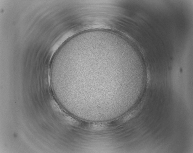 X0000051911274200507152021