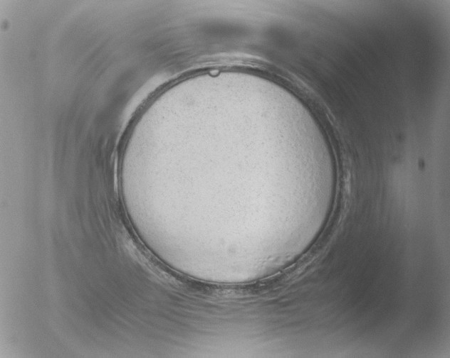 X0000051911275200507152021