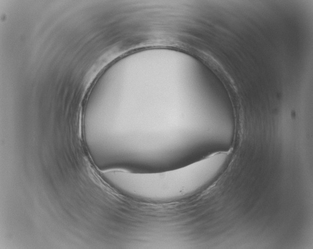 X0000051911276200507152021