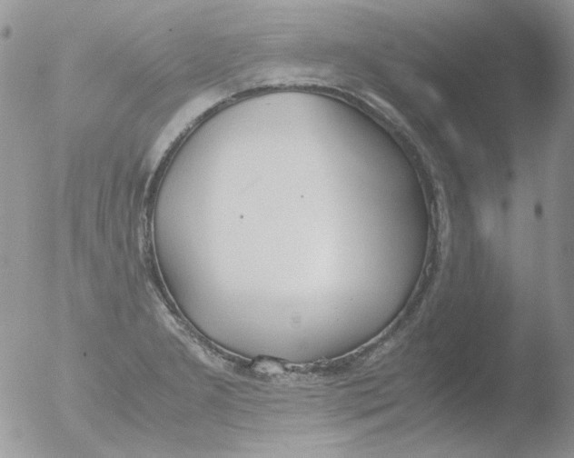 X0000051911277200507152021