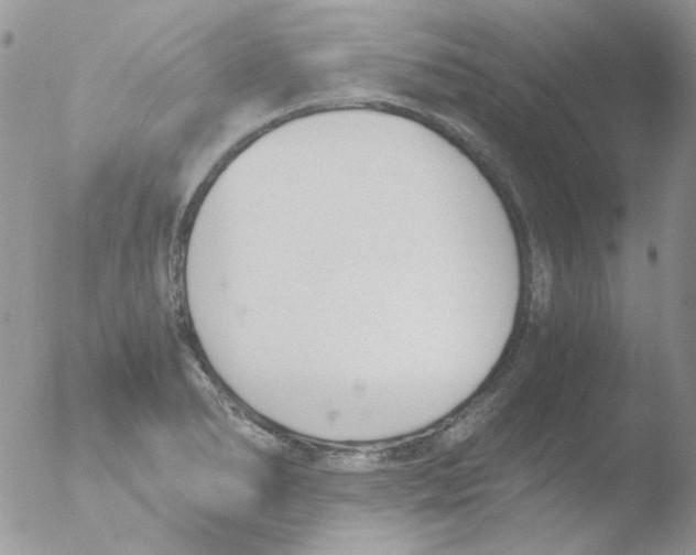 X0000051911278200507152021