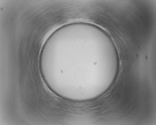 X0000051911279200507152021