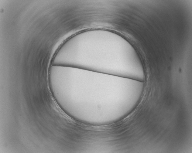 X0000051911280200507152021