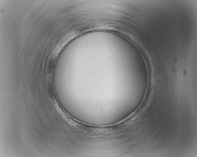 X0000051911281200507152021