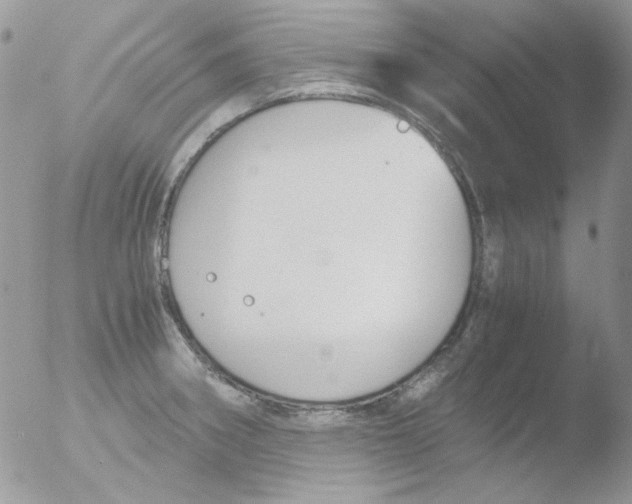 X0000051911282200507152021