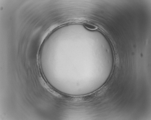 X0000051911283200507152021