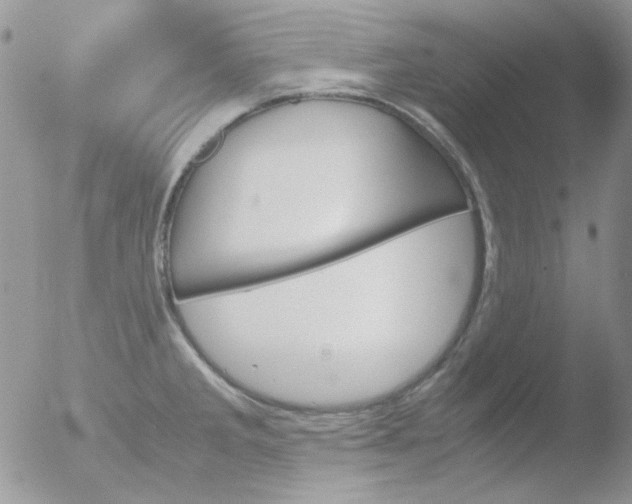 X0000051911285200507152021