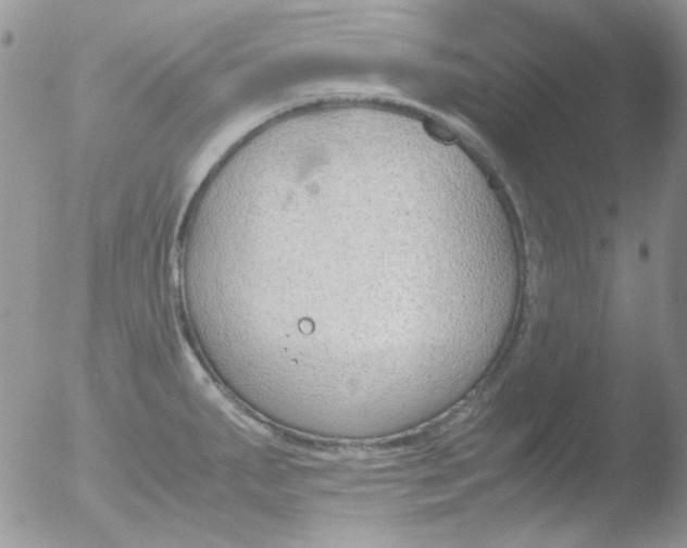 X0000051911287200507152021