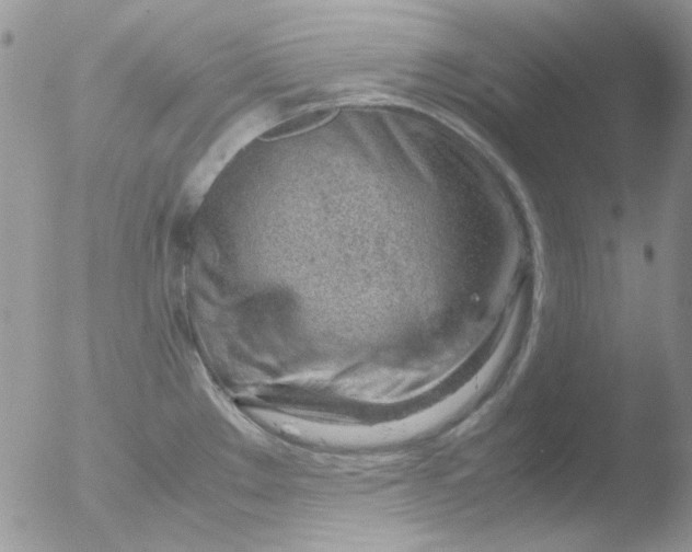 X0000051911289200507152021