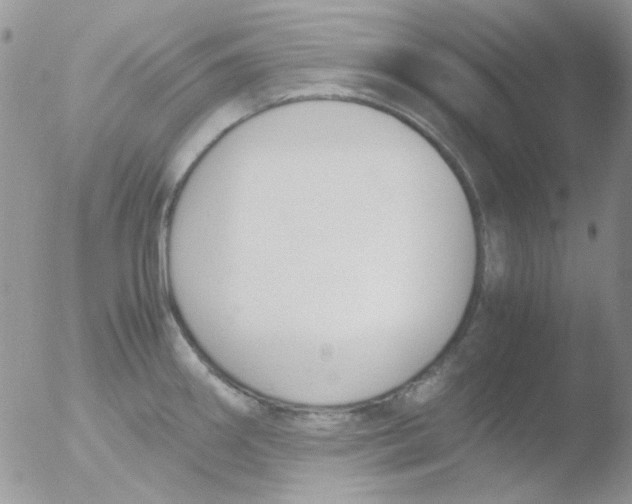 X0000051911290200507152021