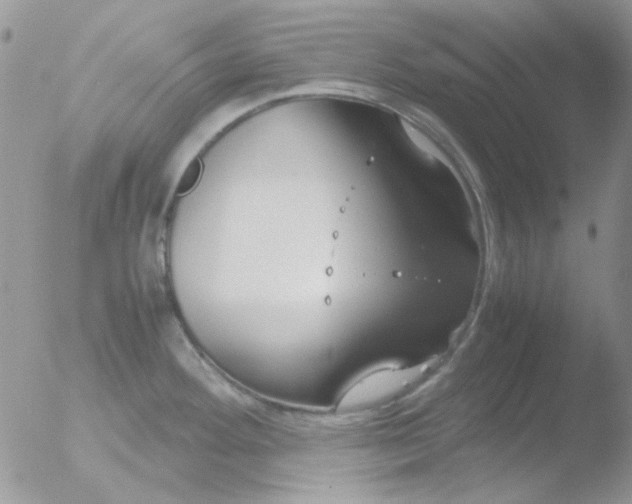 X0000051911292200507152021