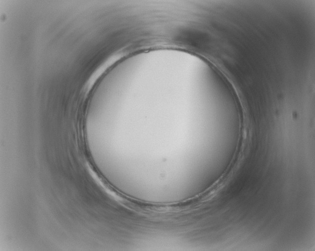 X0000051911293200507152021