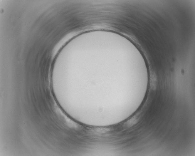 X0000051911294200507152021